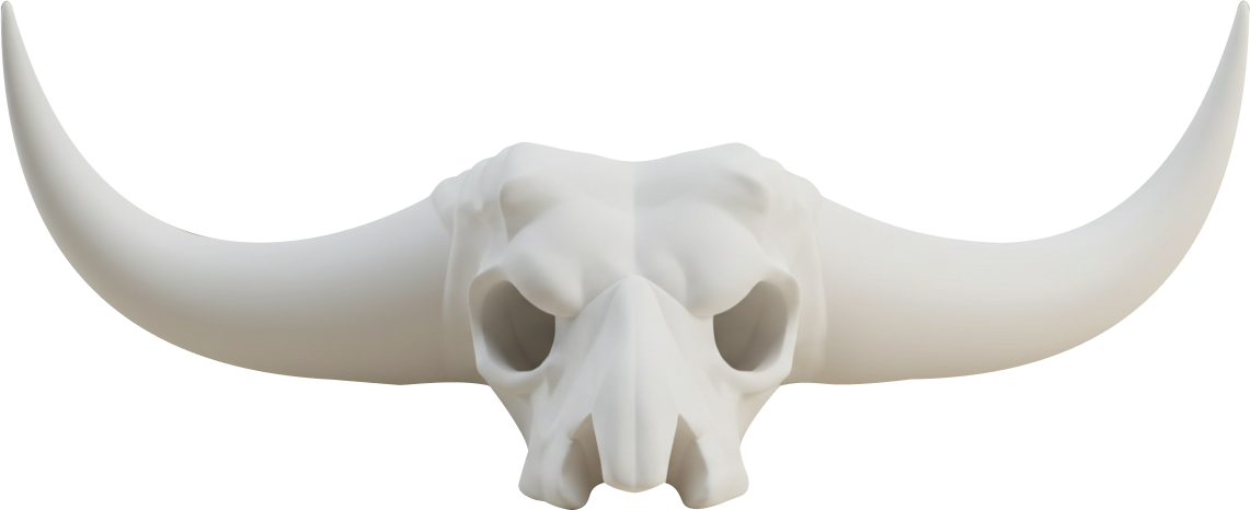 Skull Image3d